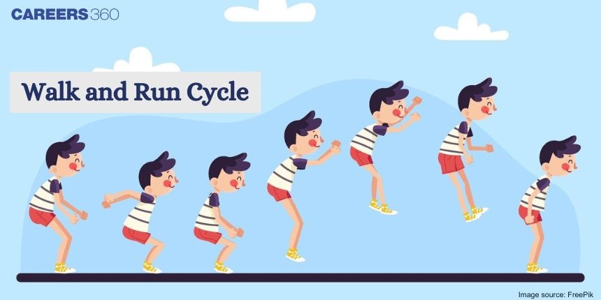 Walk and Run Cycle